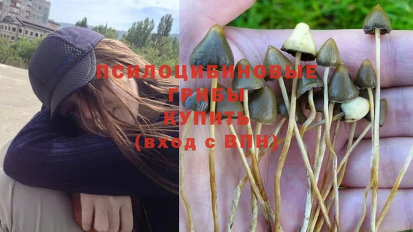 винт Михайловка