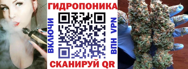 Конопля ГИДРОПОН  где можно купить   hydra ТОР  Шарья 